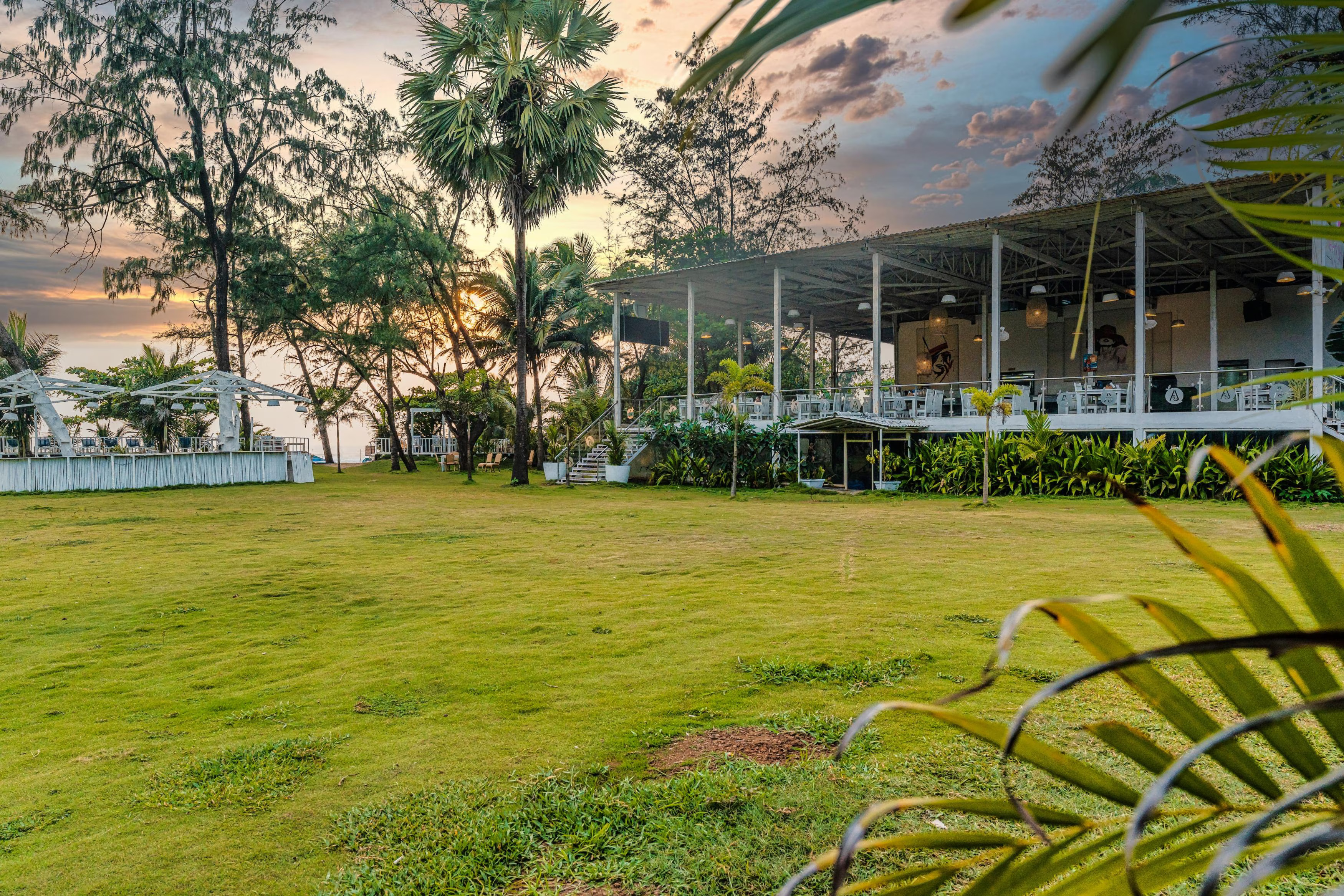 Garden and palms at dusk