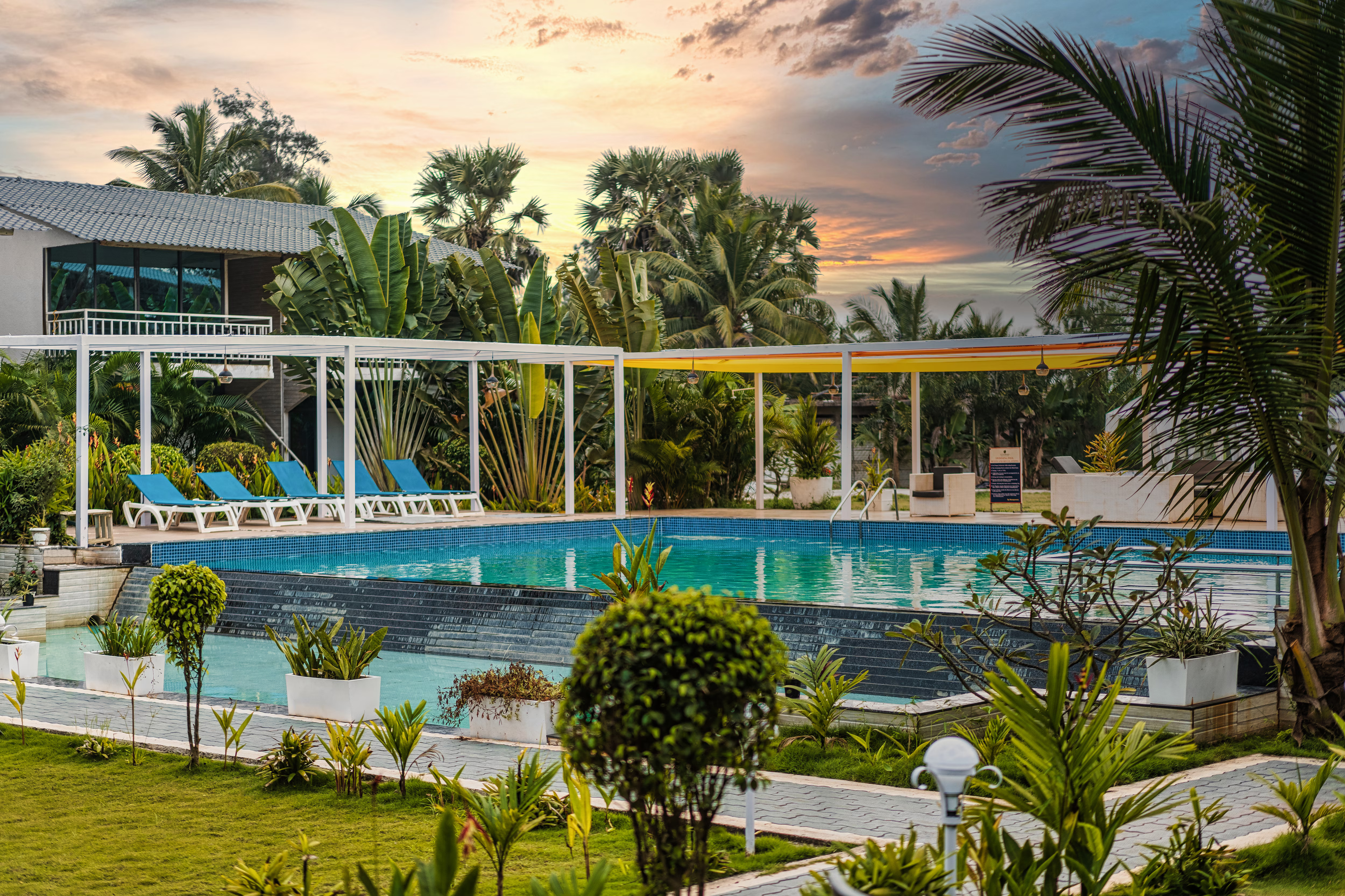 Resort pool at sunset with loungers