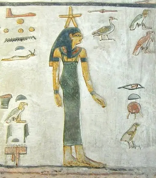 History 7