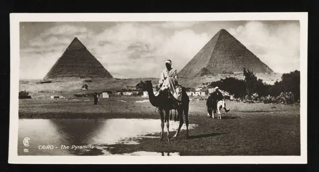 History 9